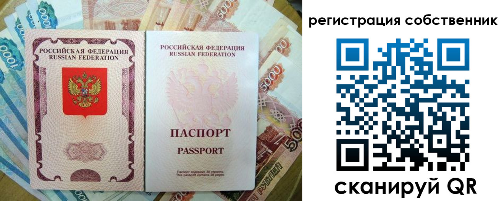 прописка гарантия в Сельцо